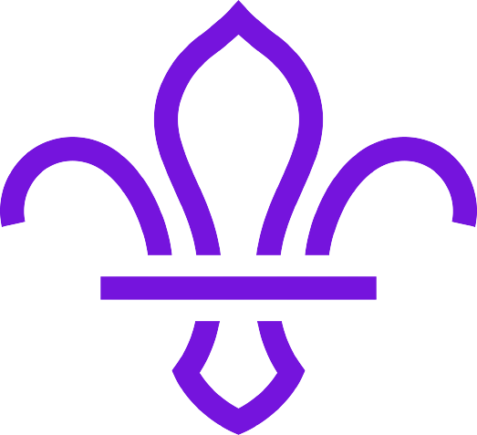 Purple Fleur de lis