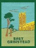 District Badge